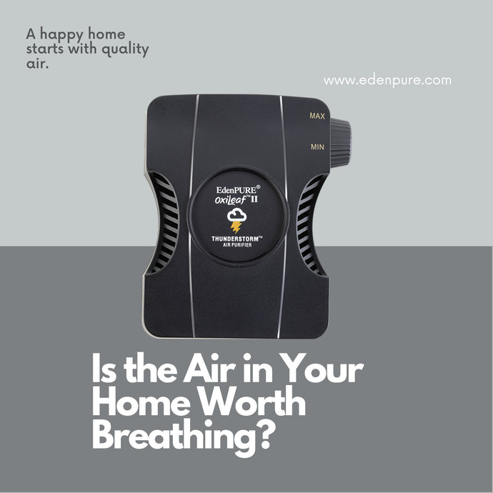 What an Air Purifier Does for a Home