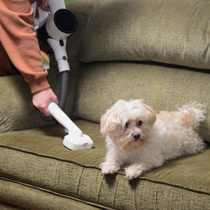 EdenPURE® Bio SpeedCLEAN VX300 Pet Brush Accessory Kit