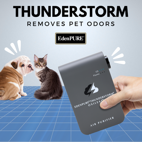EdenPURE Thunderstorm Oxileaf III Air Purifier