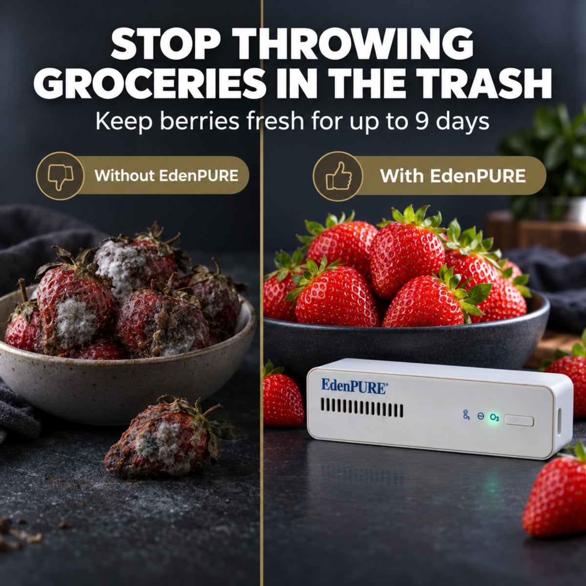 Strawberry freshness comparison showing moldy strawberries without an air purifier and fresh-looking strawberries with EdenPURE Thunderstorm.
