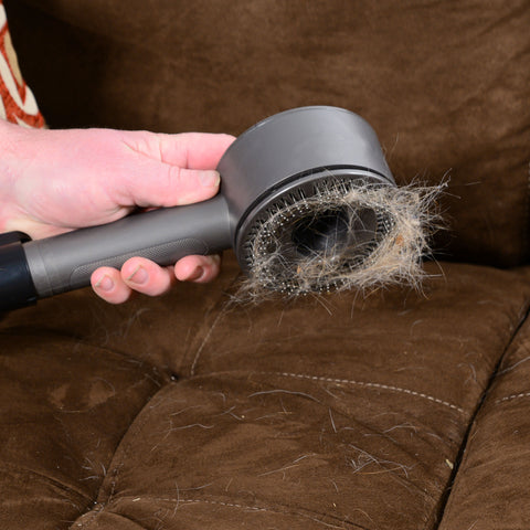 EdenPURE® Bio SpeedCLEAN™ Cordless Vac - Model XL200
