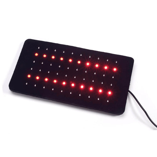 BioTech Research LED Pain Reliever - Edenpure.com