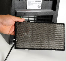 Load image into Gallery viewer, EdenPURE® Anti-Microbial Filter - Edenpure.com
